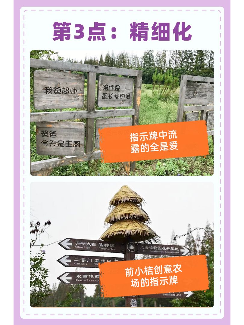 https://static.ixuenong.com/pxn/uploads/prod/thirdfile/2024/11/7a231daf100663d9de7a5af4d682ebcf.jpg
