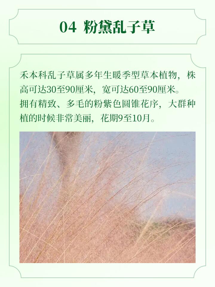 https://static.ixuenong.com/pxn/uploads/prod/thirdfile/2024/11/80cc907c37958d4b9700562405b04a40.jpg