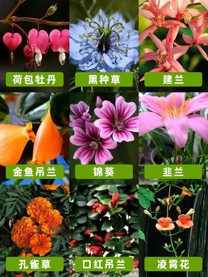 https://static.ixuenong.com/pxn/uploads/prod/thirdfile/2024/11/87b547d9efd955a980dd15d04f7f9374.jpg