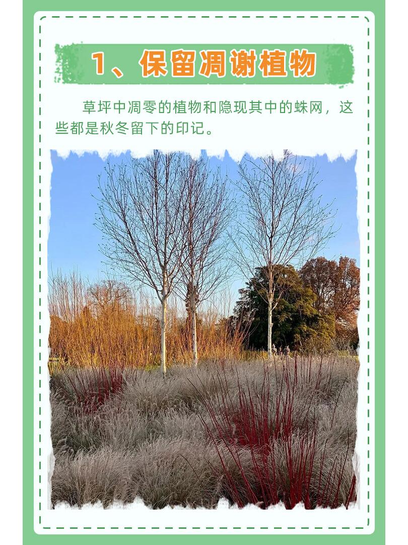 https://static.ixuenong.com/pxn/uploads/prod/thirdfile/2024/11/91d1f56fdc5afffb7750fb7b4594e2a6.jpg