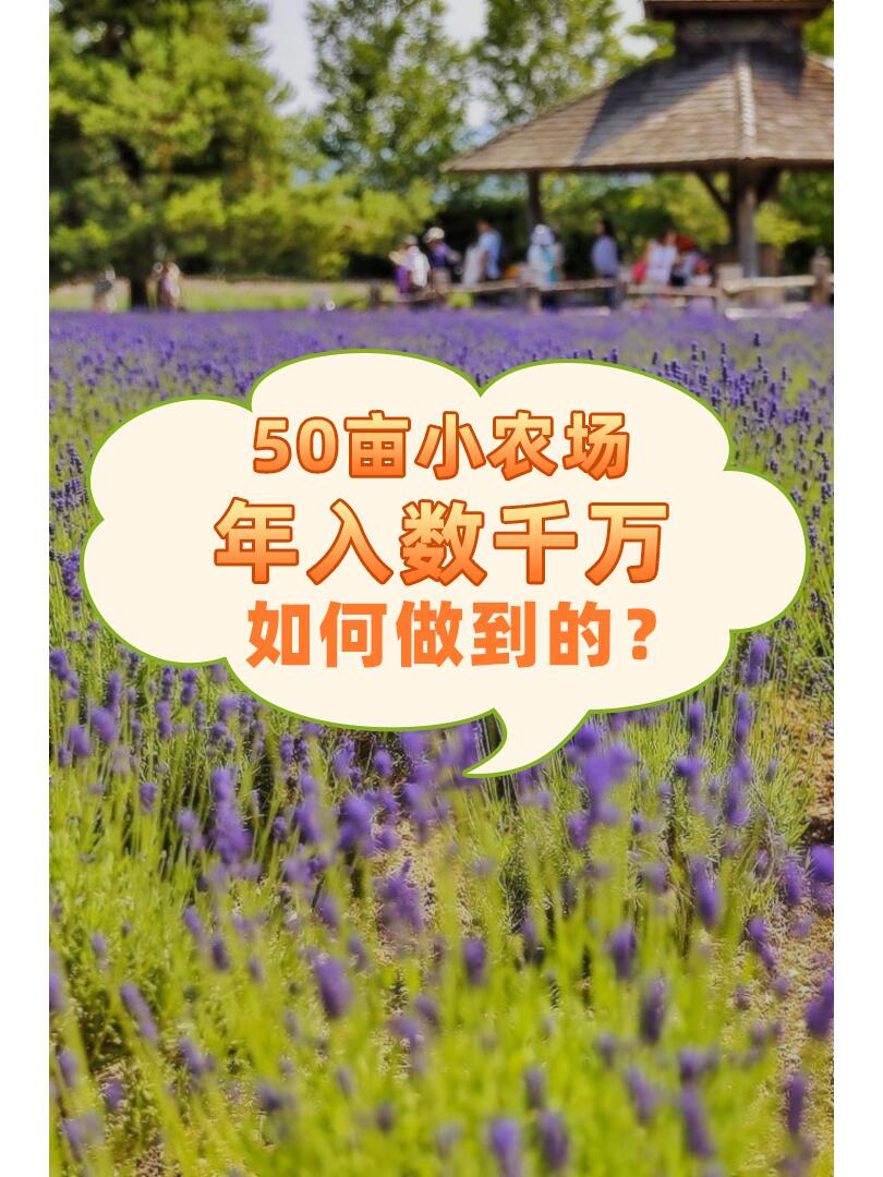 https://static.ixuenong.com/pxn/uploads/prod/thirdfile/2024/11/95d935b59fbf254b8941580a2cfaf9c2.jpg