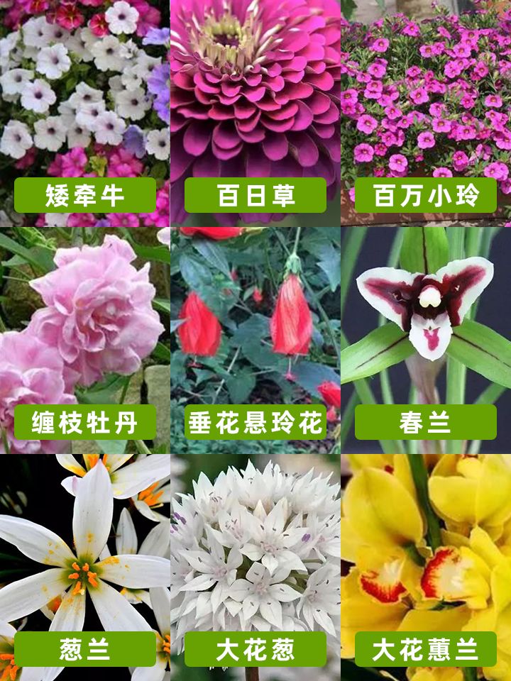 https://static.ixuenong.com/pxn/uploads/prod/thirdfile/2024/11/9921bf5cd4cf93e2127e49a60add5805.jpg