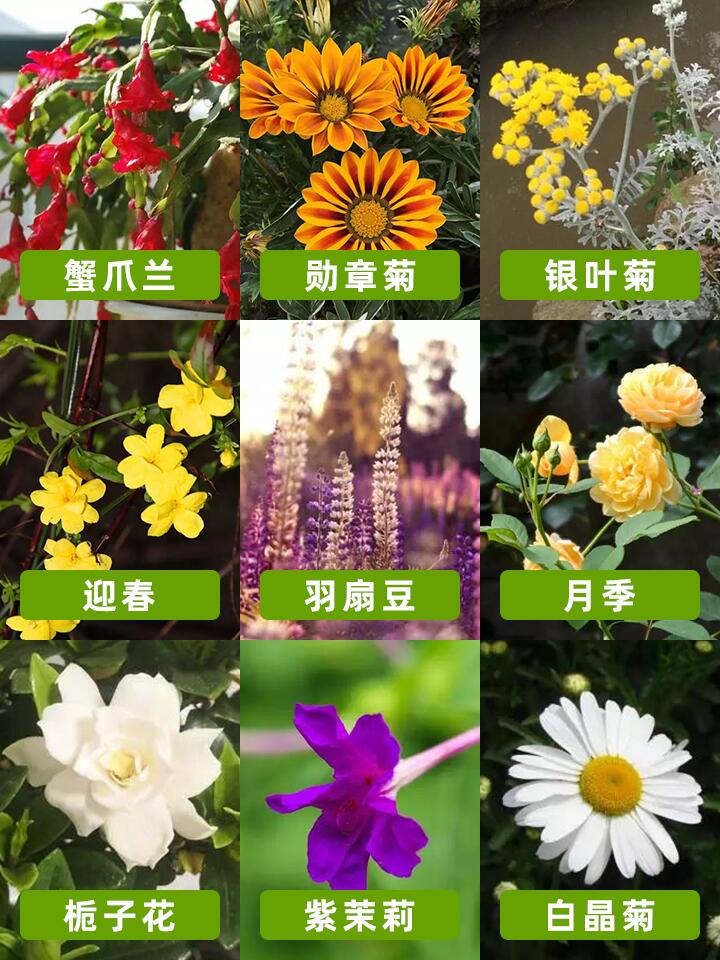 https://static.ixuenong.com/pxn/uploads/prod/thirdfile/2024/11/9b391fd9d63921d50f360da44c7b2b30.jpg