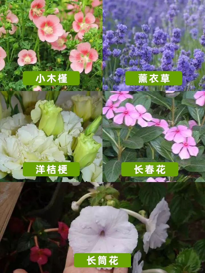 https://static.ixuenong.com/pxn/uploads/prod/thirdfile/2024/11/9b84e324fe8a4440fbf4758de2fa9dc4.jpg