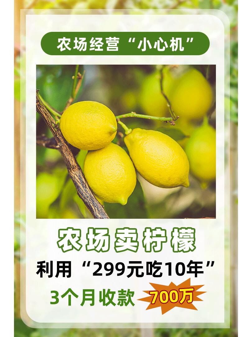 https://static.ixuenong.com/pxn/uploads/prod/thirdfile/2024/11/a3e510f47e8c03b5cd3e49437d663395.jpg