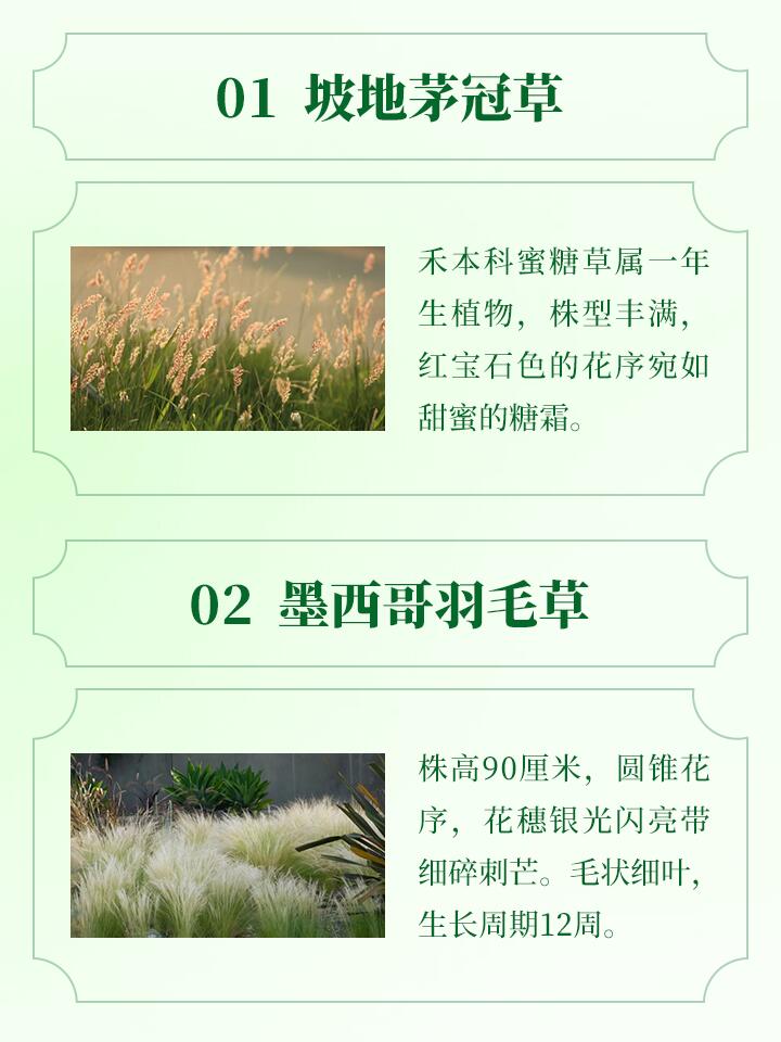 https://static.ixuenong.com/pxn/uploads/prod/thirdfile/2024/11/a6e8be5b14b090105580ec5b36f11bc8.jpg