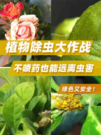 ɻ|ͥ԰ճ溦ֻ˱ر|||̨Ժ?кֲﻨصİ׷ʭ桢ǳ桢Сڷɡ֩ͼֶɨǽ?