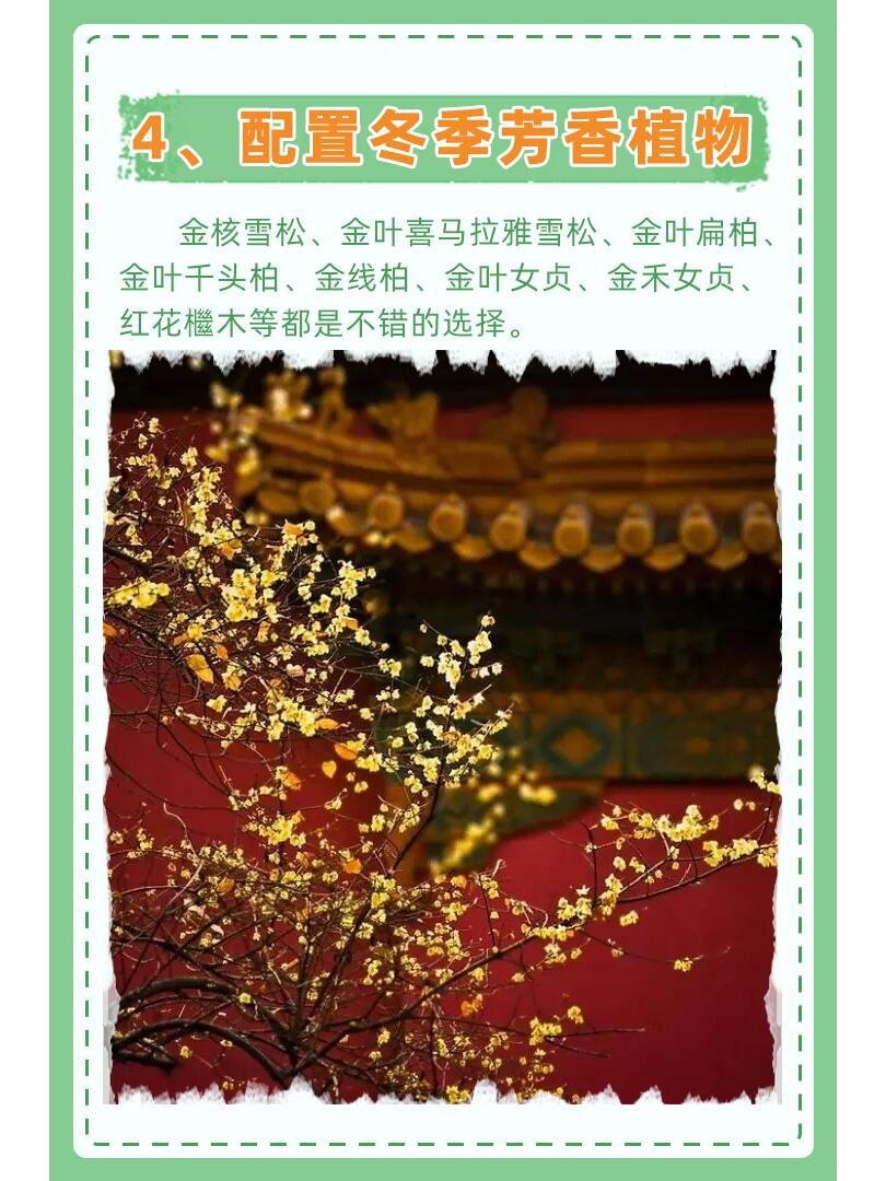 https://static.ixuenong.com/pxn/uploads/prod/thirdfile/2024/11/b2054712d9851c1a2cc04a817a0ed5ec.jpg