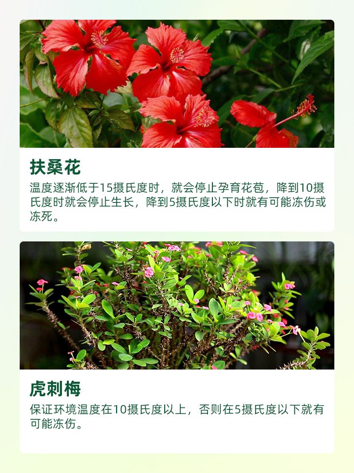 https://static.ixuenong.com/pxn/uploads/prod/thirdfile/2024/11/b6277bacdd5a4ae7d6514289f76a5c73.jpg