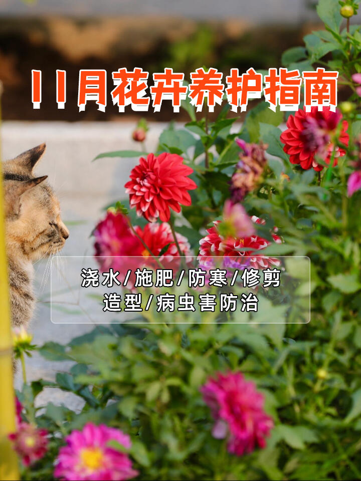 https://static.ixuenong.com/pxn/uploads/prod/thirdfile/2024/11/b9ec48e5dc204cd9fdfd54adee7dabc2.jpg