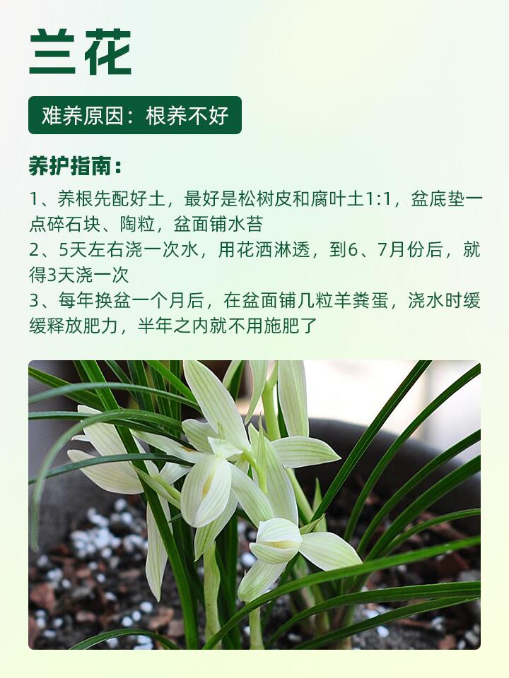 https://static.ixuenong.com/pxn/uploads/prod/thirdfile/2024/11/bd121b68a4ff8e3a82c53b116d916bdb.jpg