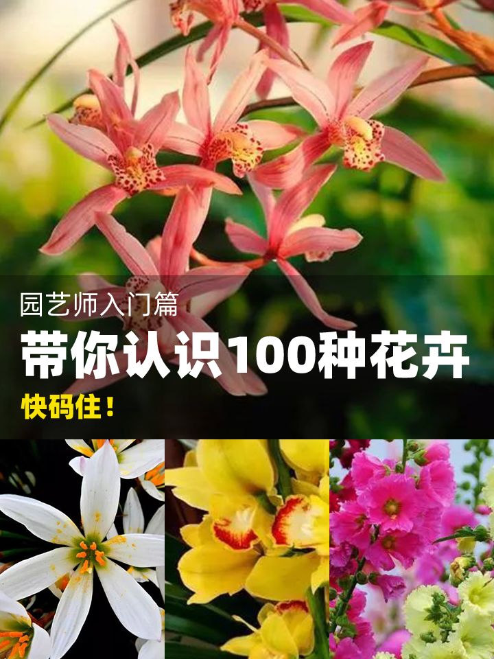 https://static.ixuenong.com/pxn/uploads/prod/thirdfile/2024/11/c2cfed86b706ddd463181f69a7582ba6.jpg