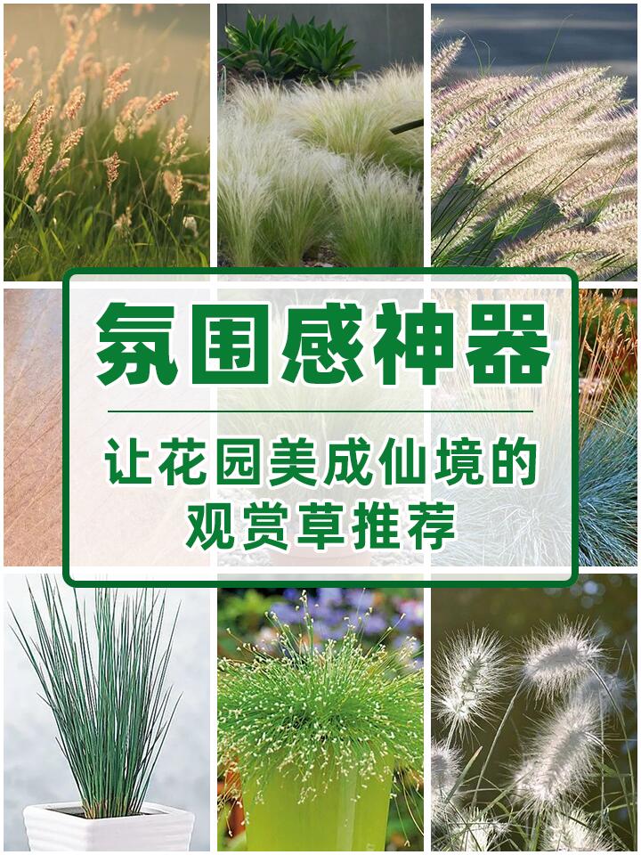https://static.ixuenong.com/pxn/uploads/prod/thirdfile/2024/11/c364f6c9a7af394927e5048987542bcf.jpg