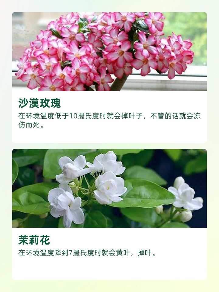 https://static.ixuenong.com/pxn/uploads/prod/thirdfile/2024/11/c6003c1ce9023d9410c771bc792fe771.jpg