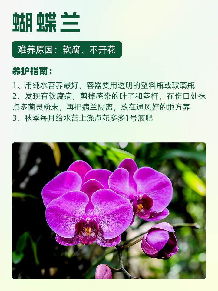 https://static.ixuenong.com/pxn/uploads/prod/thirdfile/2024/11/c890d93ca5654ec4994c32dae8df51ac.jpg