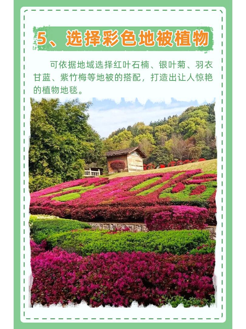 https://static.ixuenong.com/pxn/uploads/prod/thirdfile/2024/11/cb1e15cd98050c9c8f7c74f9ca338951.jpg