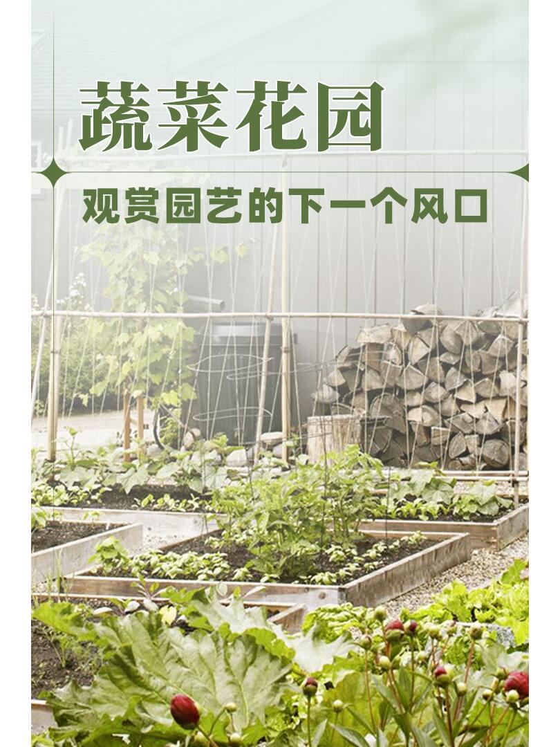 https://static.ixuenong.com/pxn/uploads/prod/thirdfile/2024/11/d9517d332e3c384deabb528545292165.jpg