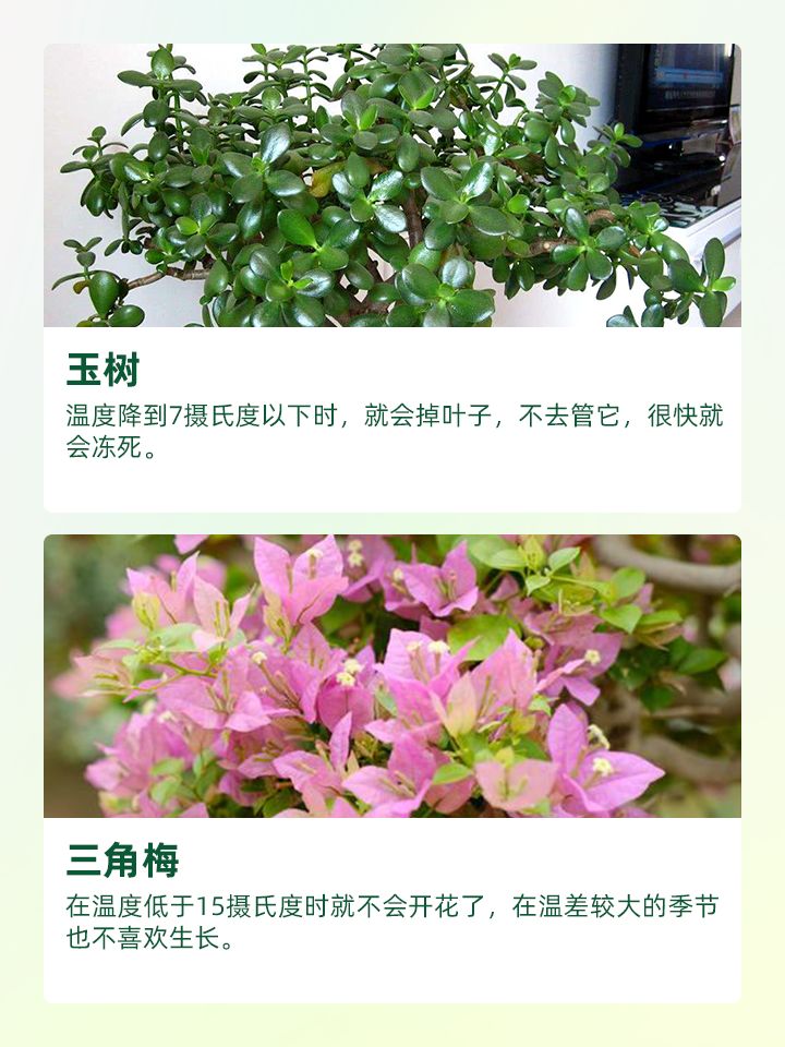 https://static.ixuenong.com/pxn/uploads/prod/thirdfile/2024/11/dfd0e879b92ddbf9b1eabc8a4f9eaf6f.jpg