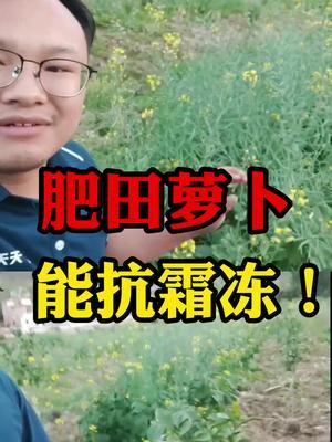 #˹ά˹9888 ݪֲܲڶʱֳ˿˪#޽ #ũ