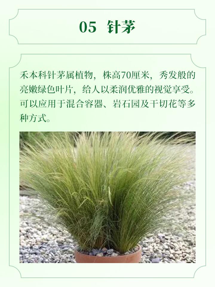 https://static.ixuenong.com/pxn/uploads/prod/thirdfile/2024/11/e0c8309e83edbeccf6249341d49d8f3a.jpg