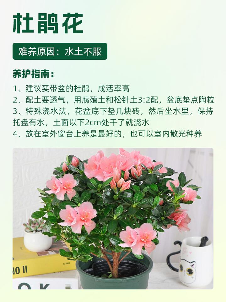 https://static.ixuenong.com/pxn/uploads/prod/thirdfile/2024/11/e3e389007872924d61b2cd5959c33633.jpg