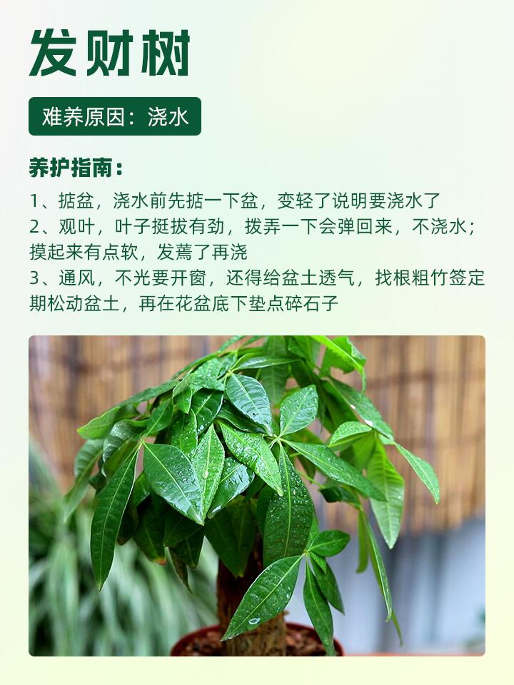 https://static.ixuenong.com/pxn/uploads/prod/thirdfile/2024/11/e95fff710d11ae89c0677c1c806f3430.jpg