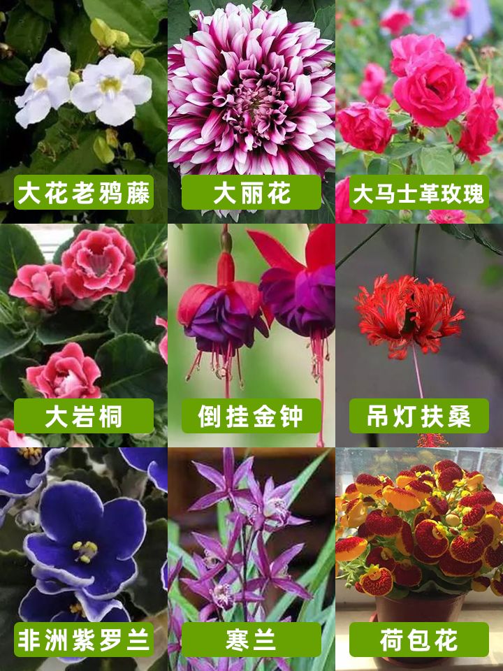 https://static.ixuenong.com/pxn/uploads/prod/thirdfile/2024/11/ea16f81a0b7890393565511c4f6975cd.jpg