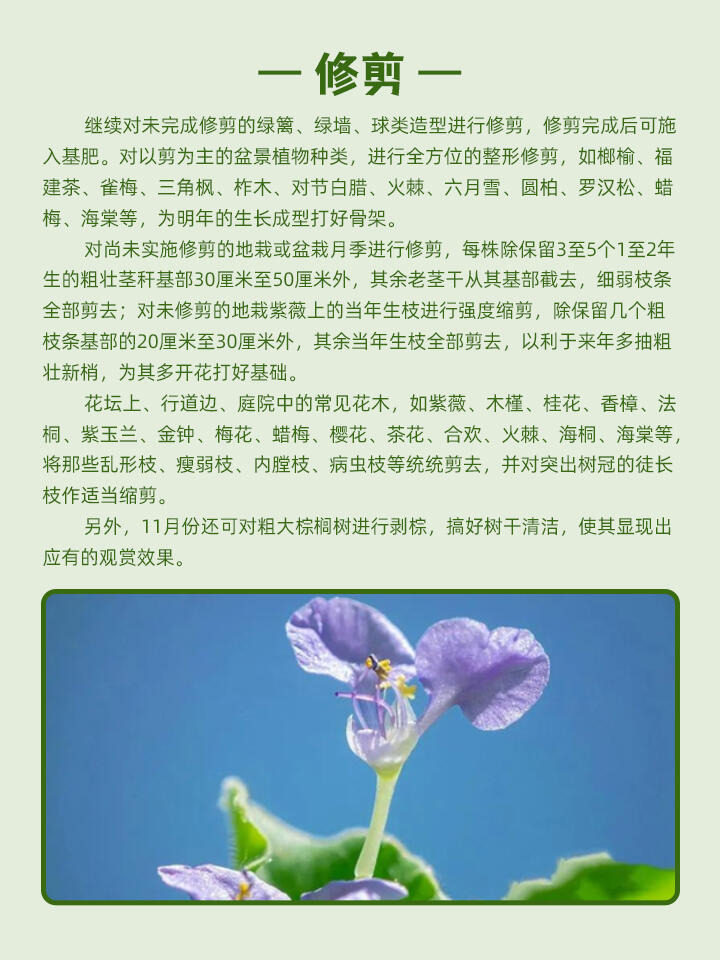 https://static.ixuenong.com/pxn/uploads/prod/thirdfile/2024/11/eeaf6d19e6f8701fd97406eaf91e894c.jpg