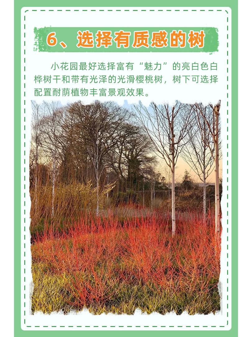 https://static.ixuenong.com/pxn/uploads/prod/thirdfile/2024/11/efe5ad6b55dddec8acadbdaa43588a81.jpg