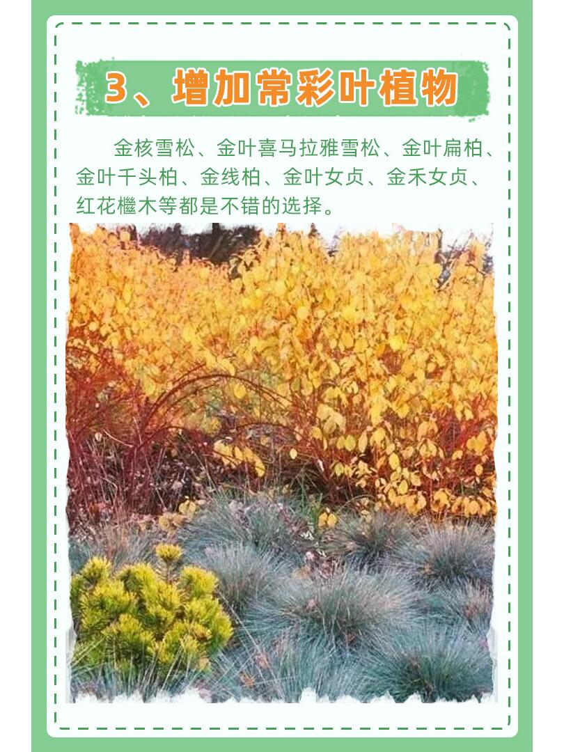 https://static.ixuenong.com/pxn/uploads/prod/thirdfile/2024/11/efe93f7a874746687bb0ac79c7fa1b33.jpg