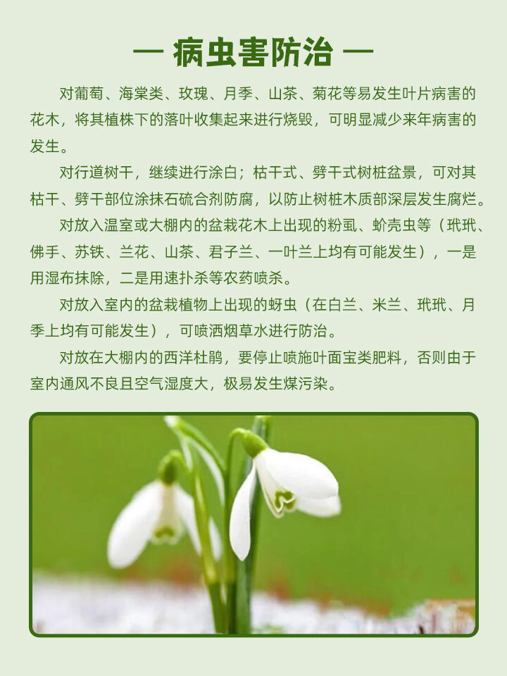 https://static.ixuenong.com/pxn/uploads/prod/thirdfile/2024/11/f2b1db5f642e2a4d7cade28799d51b86.jpg
