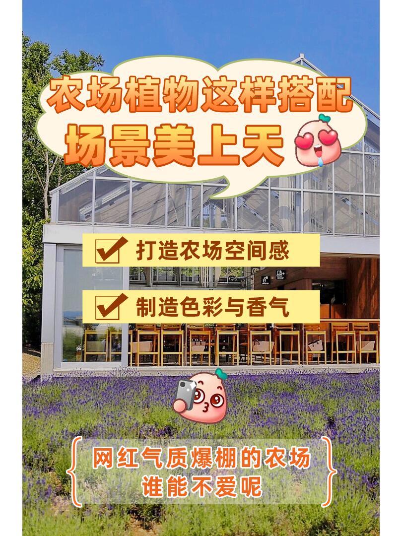 https://static.ixuenong.com/pxn/uploads/prod/thirdfile/2024/11/f5e3a0b6d2c21dca23fbafaa899e8716.jpg