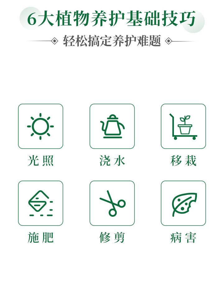 https://static.ixuenong.com/pxn/uploads/prod/thirdfile/2024/11/f84f3bd62eb1c0f20a5a526f4683ca53.jpg