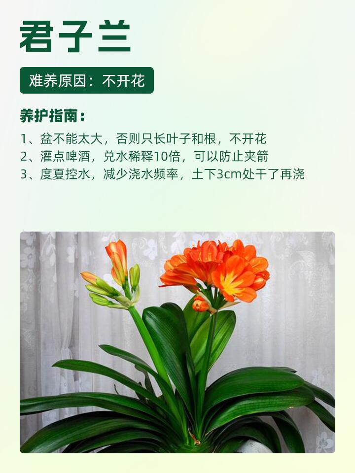 https://static.ixuenong.com/pxn/uploads/prod/thirdfile/2024/11/fb10c76de7d5d8995379ef070f8cda84.jpg