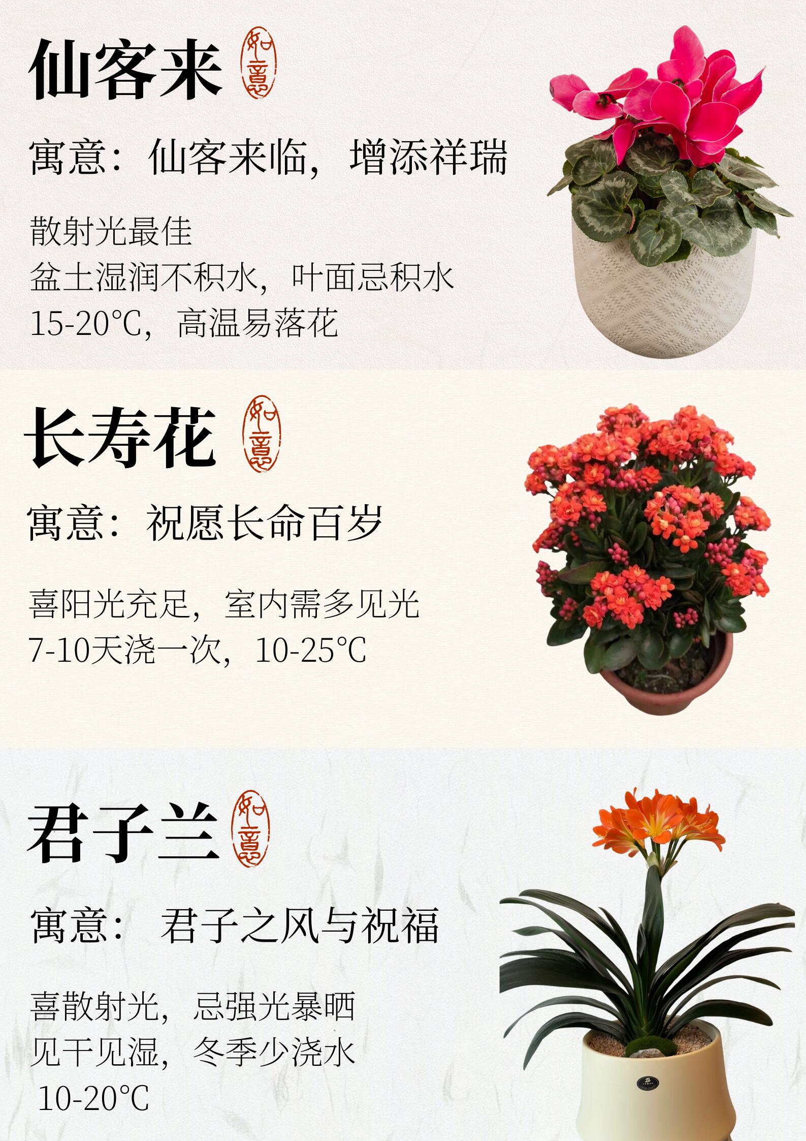 https://static.ixuenong.com/pxn/uploads/prod/thirdfile/2024/12/0e485bd9c1ded93ac22c1c7adf3e2f5b.jpg