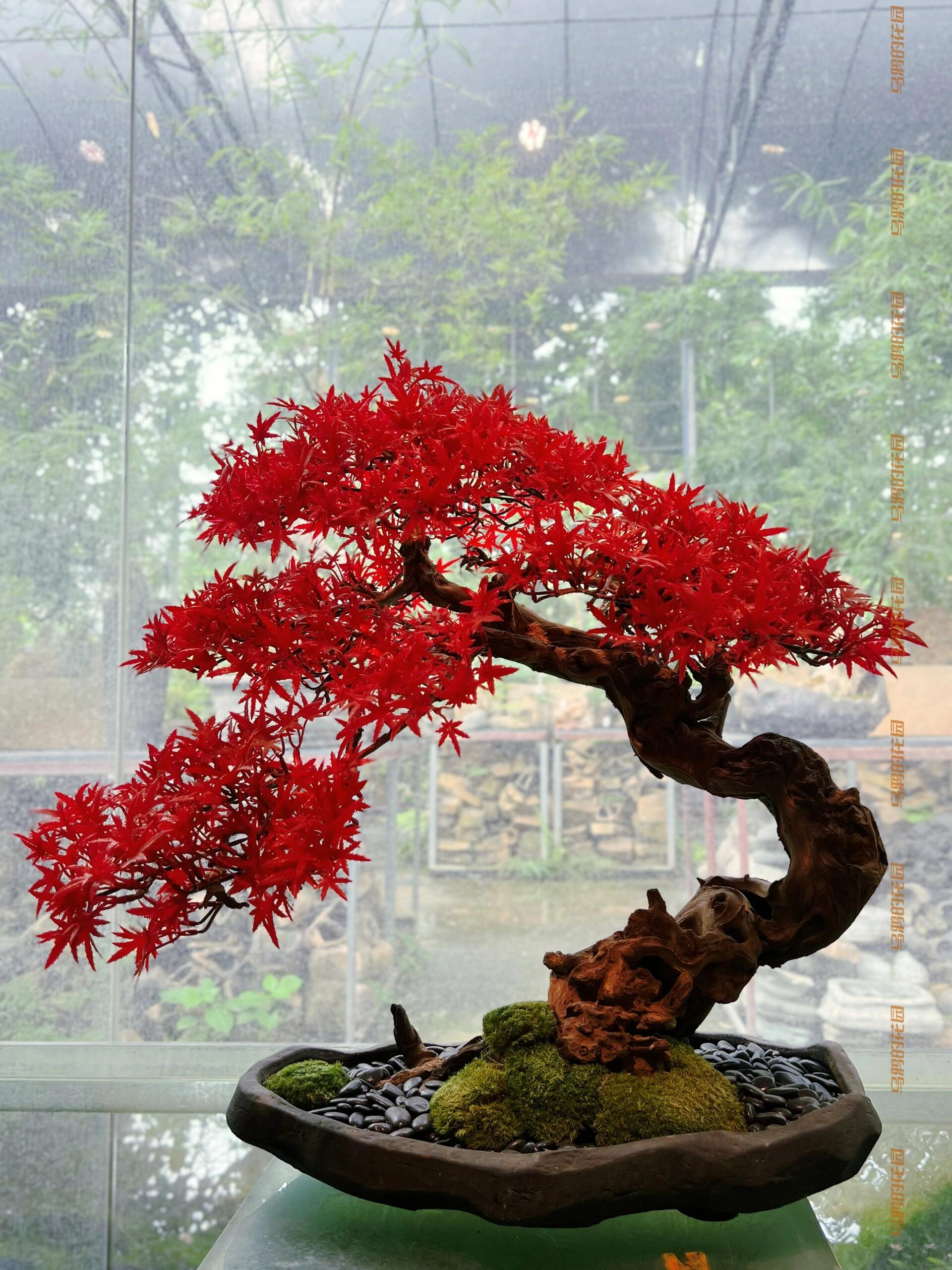 https://static.ixuenong.com/pxn/uploads/prod/thirdfile/2024/12/10a8ca7c2a727529446ee673819bec4e.jpg