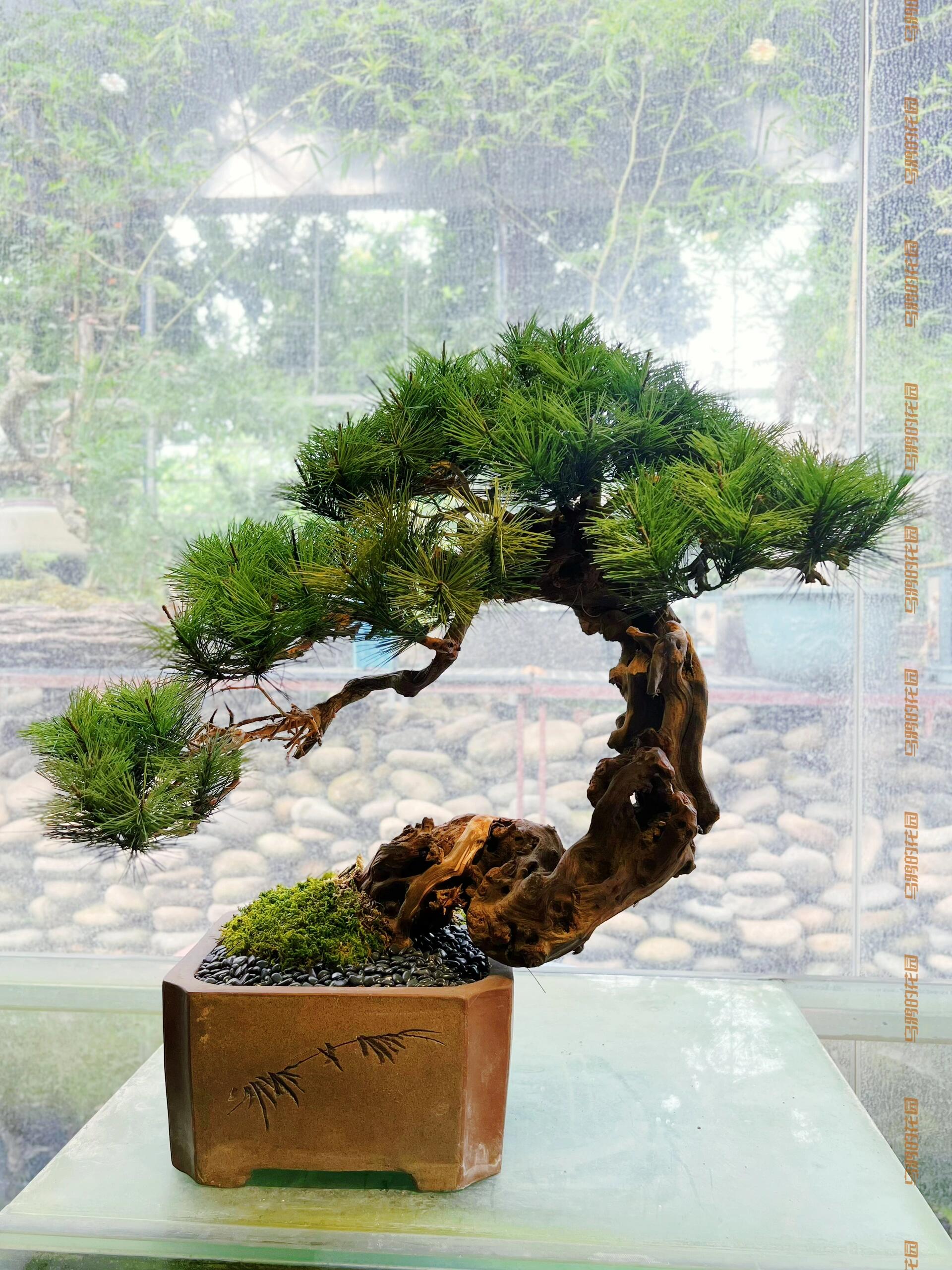 https://static.ixuenong.com/pxn/uploads/prod/thirdfile/2024/12/1315d78cfb1c6dc85d7c1ec0eca28597.jpg