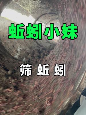 򾶼е #ֳ #ũ #ũ崴ҵ