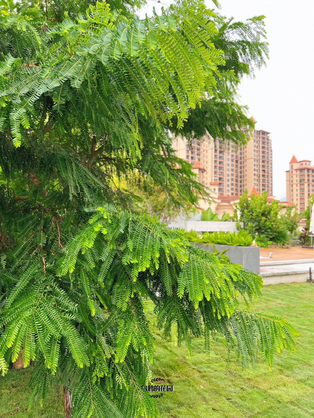https://static.ixuenong.com/pxn/uploads/prod/thirdfile/2024/12/1a2c2250d1b8abda2cd3a88c6b7053af.jpg