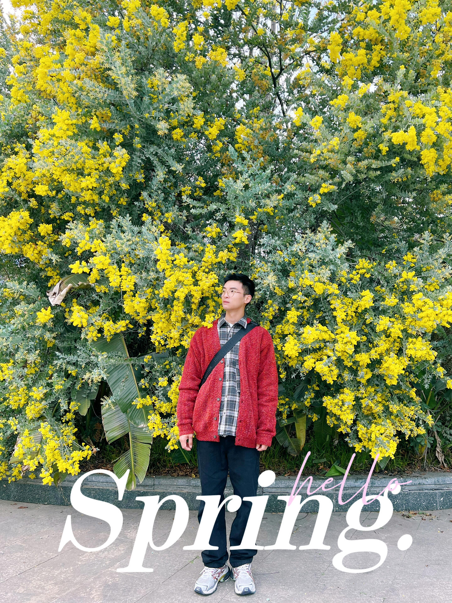 https://static.ixuenong.com/pxn/uploads/prod/thirdfile/2024/12/1a67668404bbf84571ba8d19c85b890f.jpg