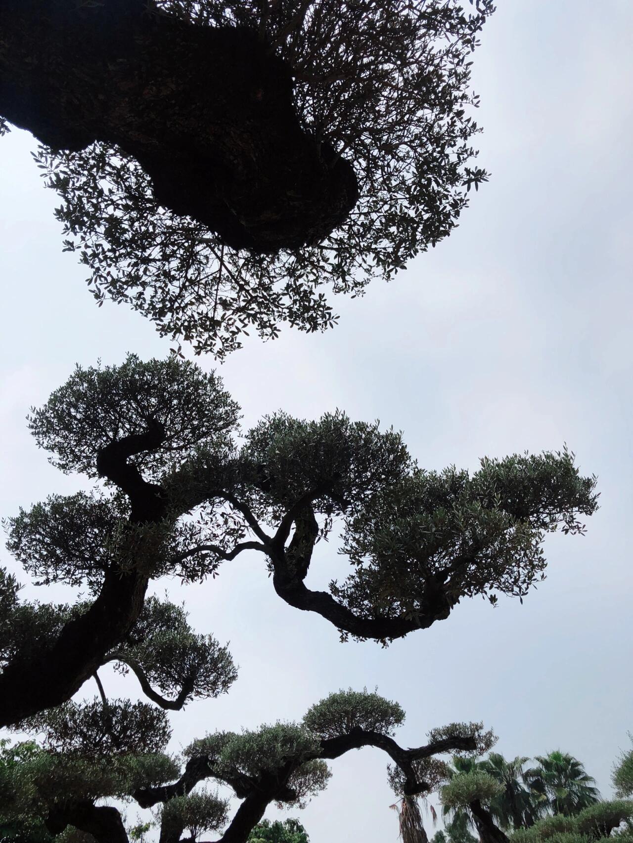 https://static.ixuenong.com/pxn/uploads/prod/thirdfile/2024/12/1a94f6f991d9ba56f0d1117e893f2c60.jpg