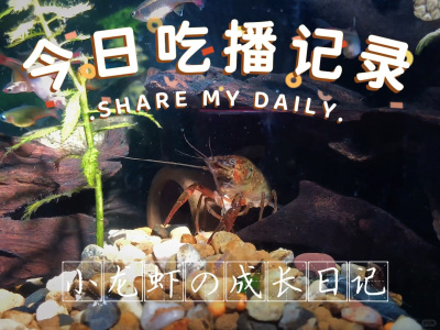 СϺһʲô