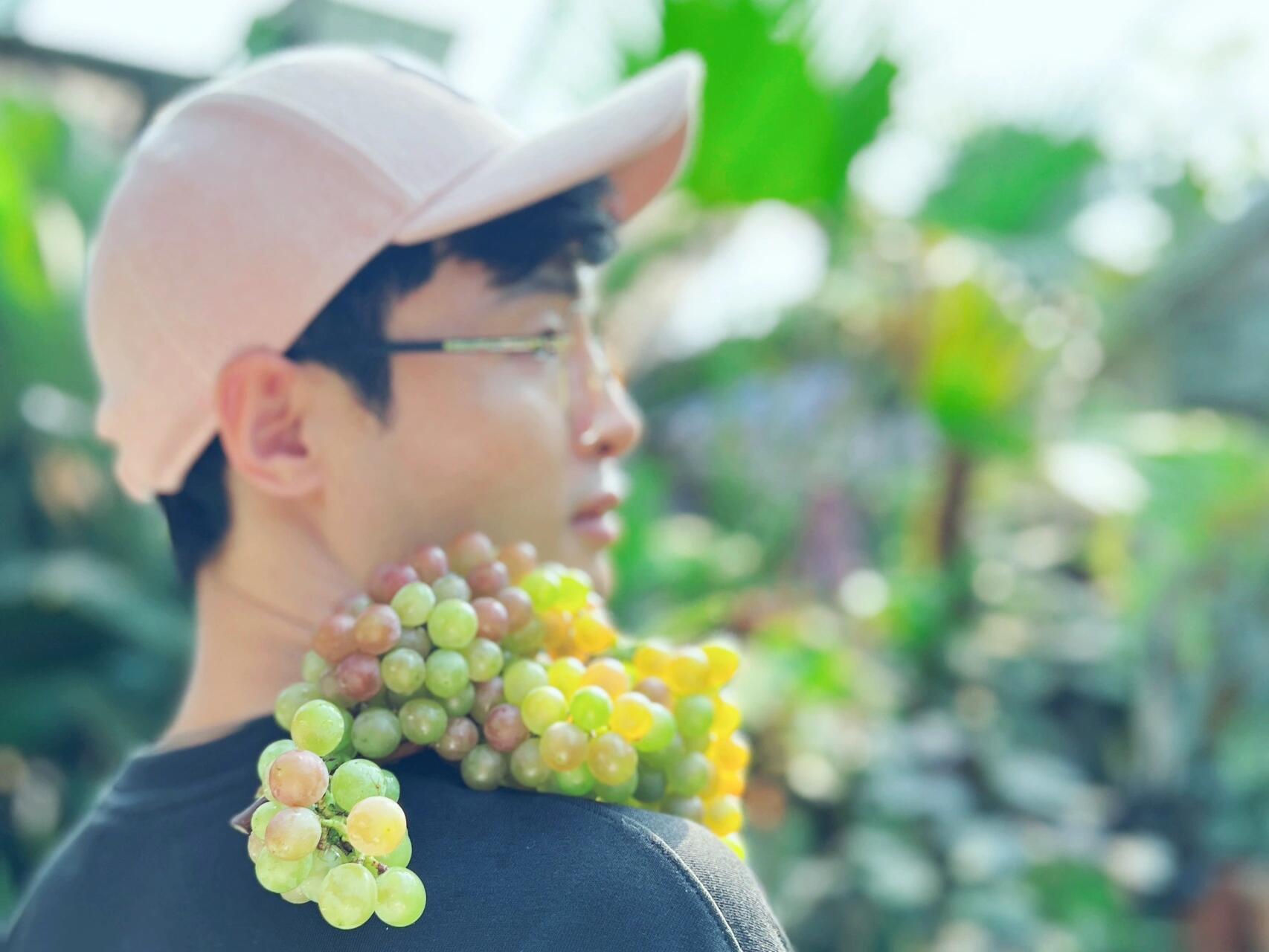 https://static.ixuenong.com/pxn/uploads/prod/thirdfile/2024/12/21c25d2a12db00f16ef3b763b795047e.jpg