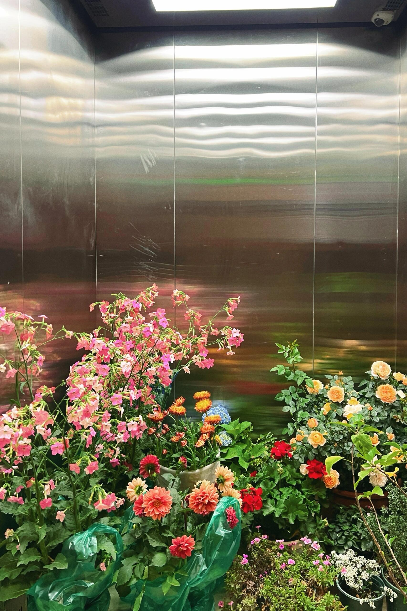 https://static.ixuenong.com/pxn/uploads/prod/thirdfile/2024/12/235b907069cf70815993db29bc0390b9.jpg