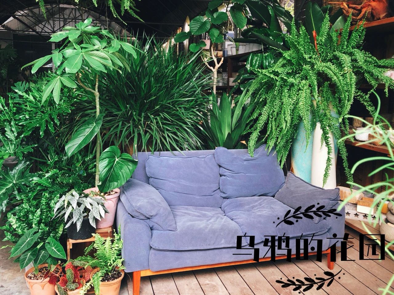 https://static.ixuenong.com/pxn/uploads/prod/thirdfile/2024/12/23af61c9a9f2faefaf372befde7b74e8.jpg