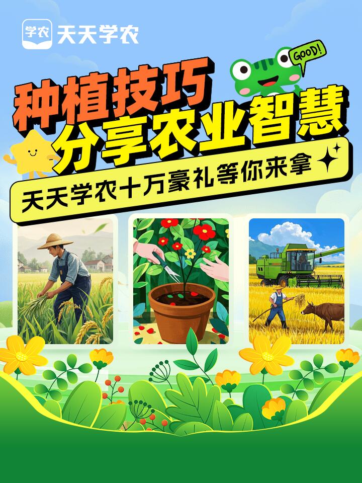 https://static.ixuenong.com/pxn/uploads/prod/thirdfile/2024/12/32b1b4c8a37fb6a6a51510cfcab2511a.jpg