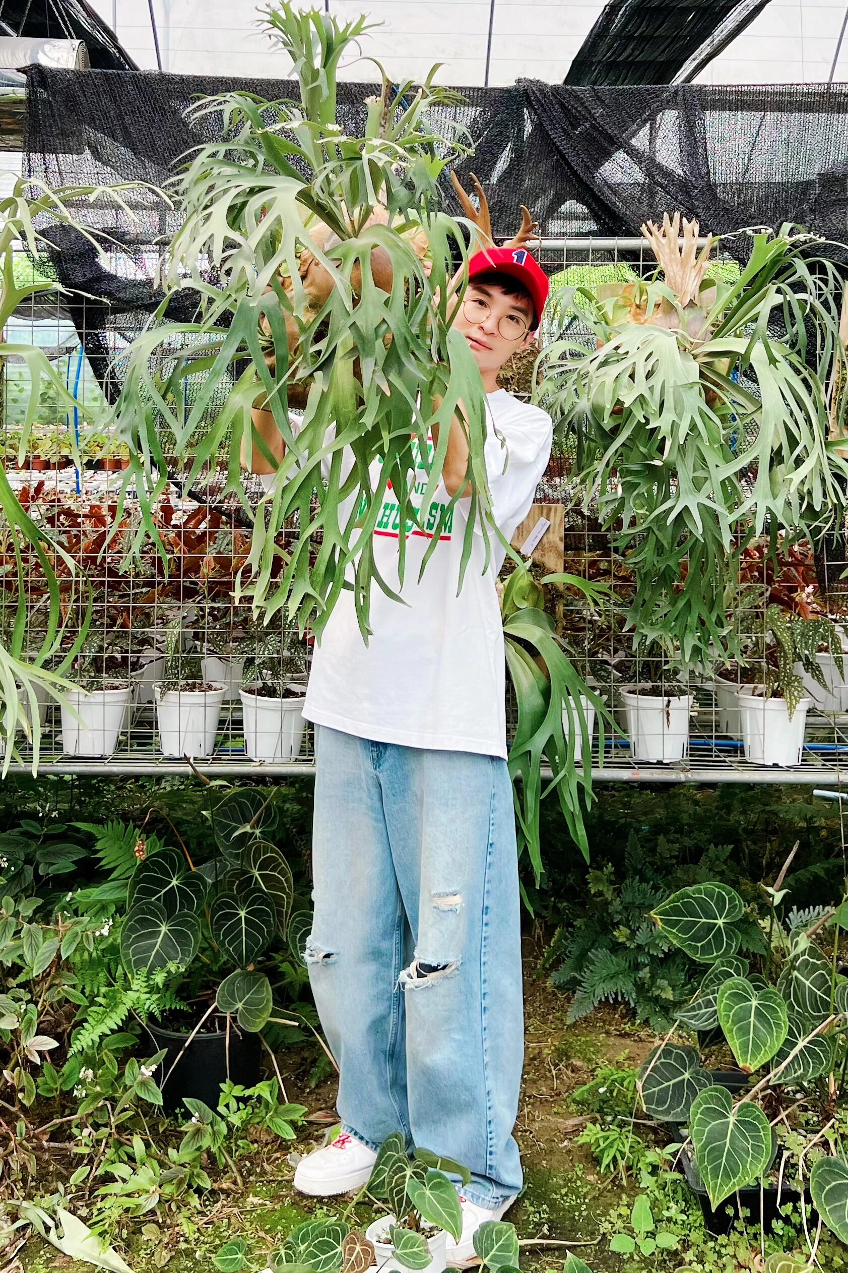 https://static.ixuenong.com/pxn/uploads/prod/thirdfile/2024/12/37f16d99b3216d4eccba95d0e2be093a.jpg