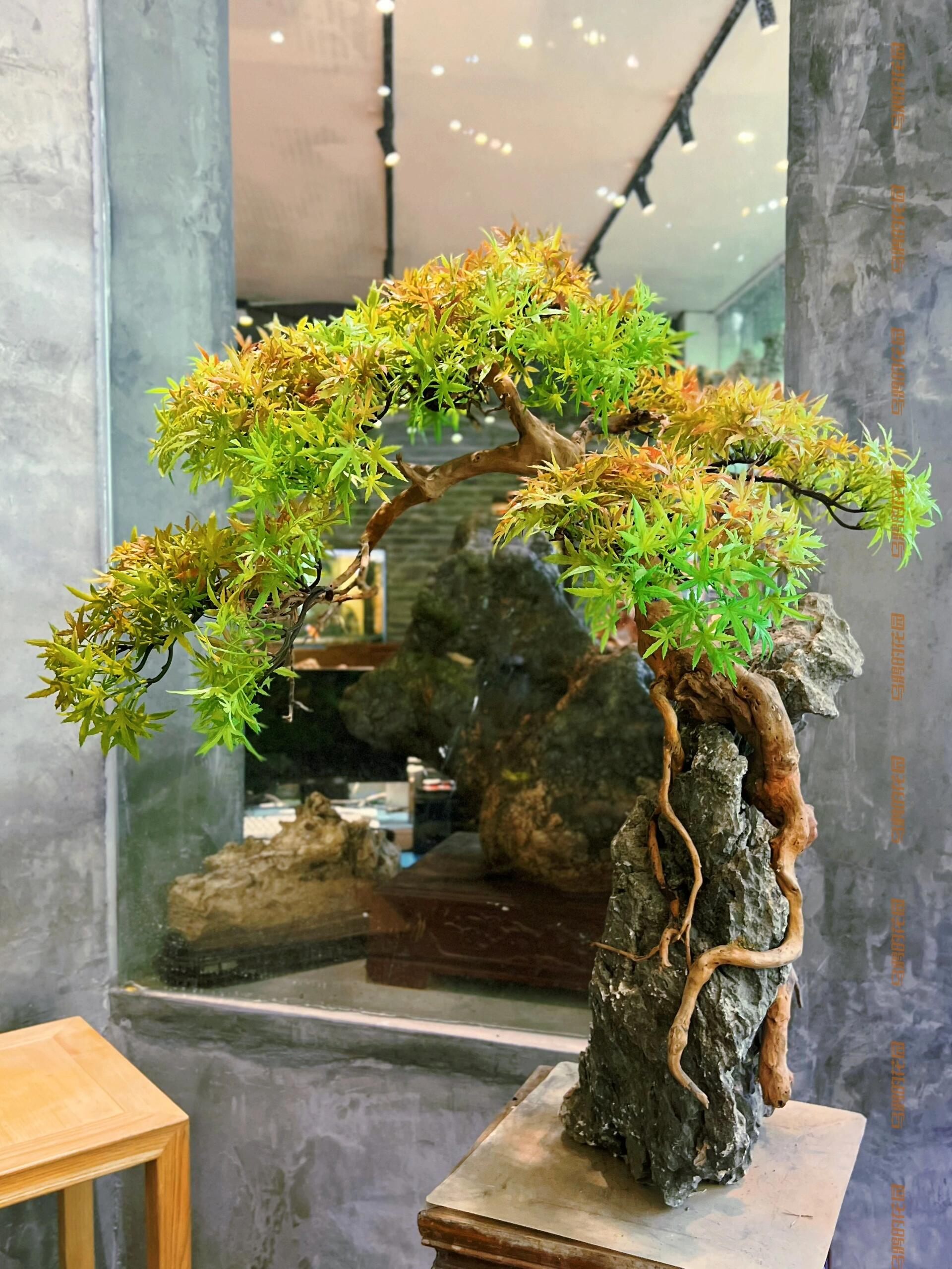 https://static.ixuenong.com/pxn/uploads/prod/thirdfile/2024/12/538cdbbea32abdc64693a1a2839bb501.jpg
