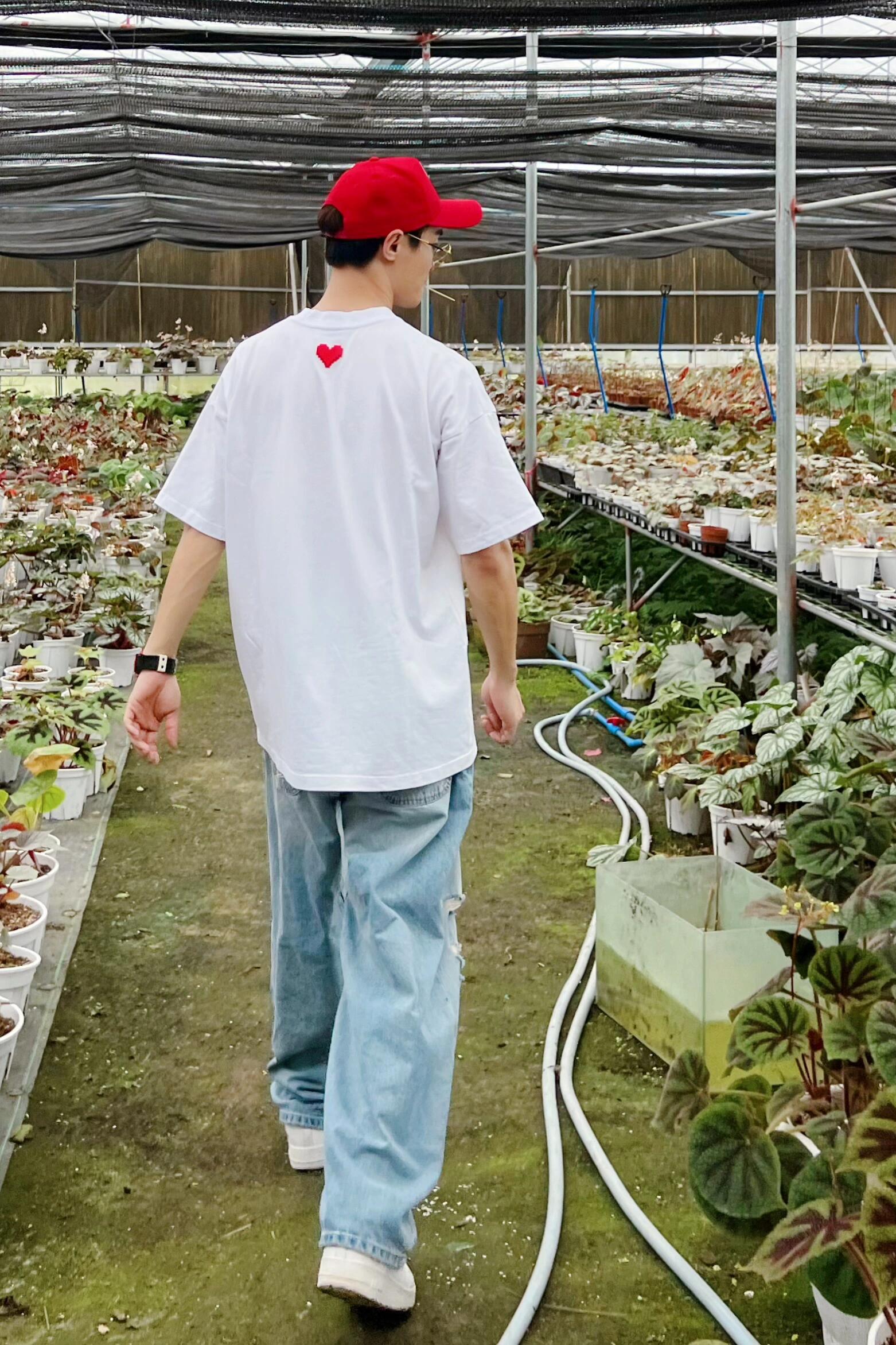 https://static.ixuenong.com/pxn/uploads/prod/thirdfile/2024/12/563b0b988d1eb390735e6153d0f97d14.jpg