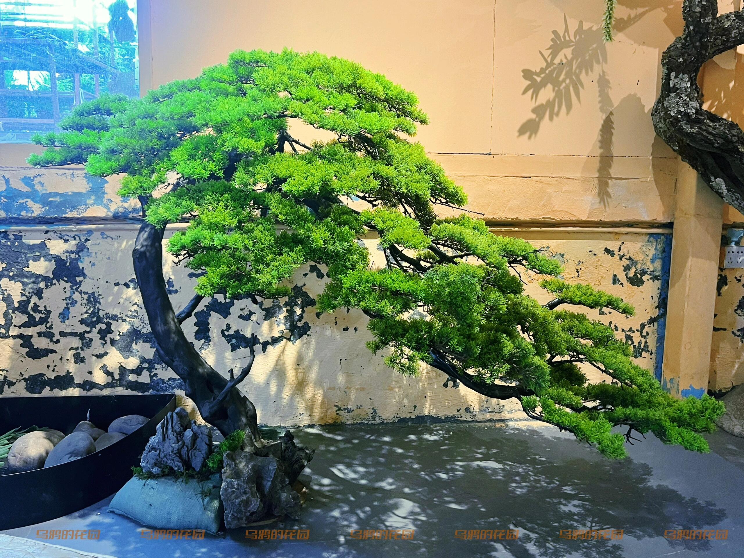 https://static.ixuenong.com/pxn/uploads/prod/thirdfile/2024/12/5660d7dc6808706705bf5789238c25d7.jpg